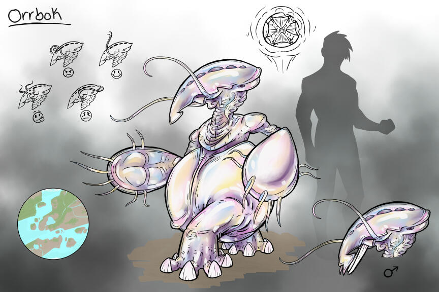 Orrbok species